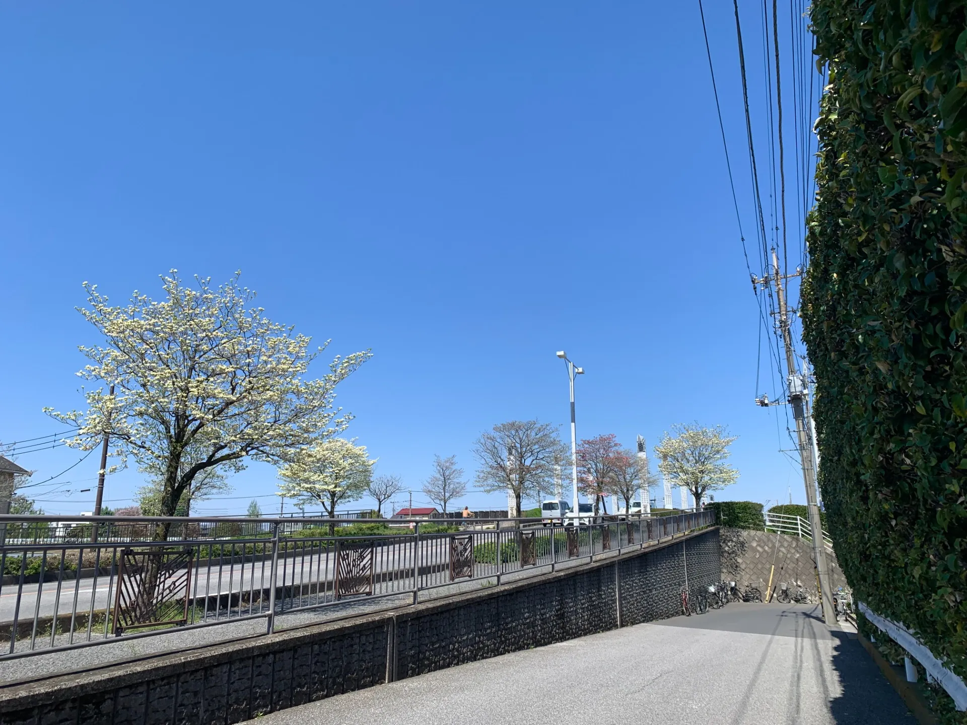 お昼に